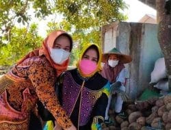 Syarifatul Syadiah Dukung Perkembangan Porang Di Bumi Batiwakkal