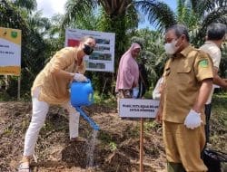 Kolaborasi Pemerintah Kabupaten Berau dan LSM Jaga Kelestarian Hutan