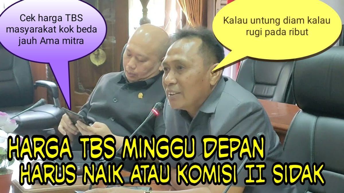 Rapat Tegang Harga Loyo Minggu Depan Dapat Kabar Harga TBS Kelapa Sawit