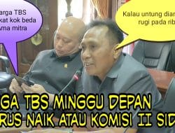 Rapat Tegang Harga Loyo Minggu Depan Dapat Kabar Harga TBS Kelapa Sawit