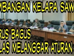 Darlena: Timbangan Sawit Harus Transparan, Jasmin:Indikasi Pelanggaran