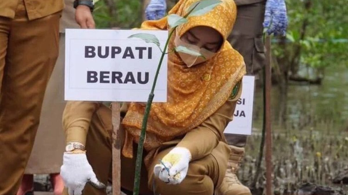 Dukung Pengembangan Mangrove Berkelanjutan