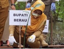 Dukung Pengembangan Mangrove Berkelanjutan