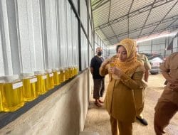Besok 15 ton minyak makan curah di salurkan dengan harga Rp.15.500,-