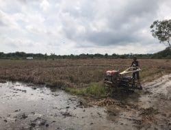 PT Berau Coal Memberikan Pendampingan Kepada Petani Menjadi Hasil Pertanian Melimpah