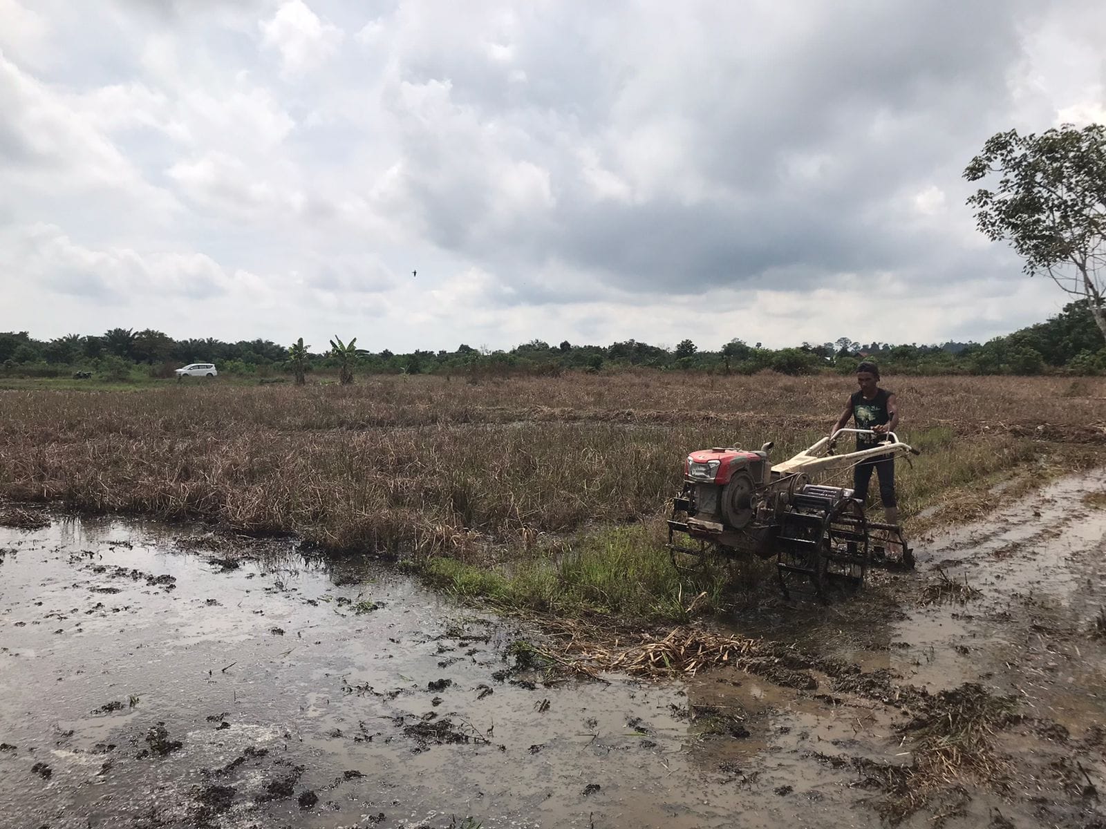 Bantuan alat tani PT Berau coal