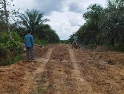 Joni Tinjau Langsung Peningkatan Badan Jalan di Desa Kebon Agung