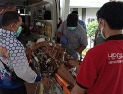 Kondisi Korban Atlet PPU Kecelakaan Sampai Hari Ini