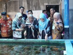 Restorasi Terumbu Karang dan Potensi Pengelolaan Karang Hias, Berau Bisa Tiru Banyuwangi