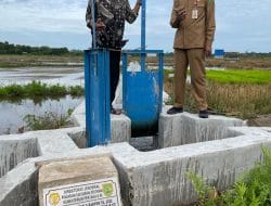 Distanak Berau lakukan monitoring dan evaluasi benih padi dan jagung di Kampung Buyung-Buyung
