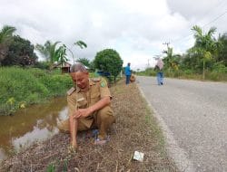 Peringati Hari Desa Asri Nusantara, Pemerintah kampung Sukan Tengah Bersama Masyarakat Lakukan Gerakan Menanam Pohon
