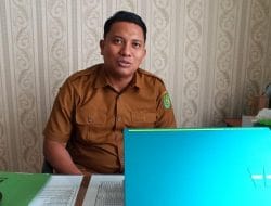 Nanas Petani Desa Himba Lestari, DTPHP Kutim Fokus Dalam Pengembangan Pasar Luar Daerah
