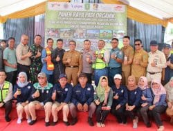 Bupati Ardiansyah Hadiri Panen Raya Padi Organik di Teluk Pandan