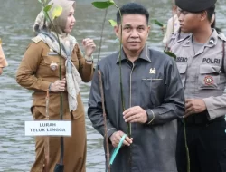 Ketua DPRD Ikut Tanam Bibit Mangrove Di Pantai Kenyamukan Bersama Lanal Sangatta