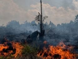 Musim Kemarau, DPRD Kutim Imbau Masyarakat Selalu Waspada Bencana Karhutla