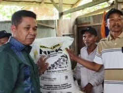 Kunjungan ke Teluk Pandan, Joni Serahkan Bantuan Pupuk Pertanian ke Kelompok Tani Semangka Jaya