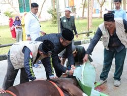 Wabup Kasmidi Melakukan Penyembelihan Hewan Kurban di Masjid Agung Al-Faruq