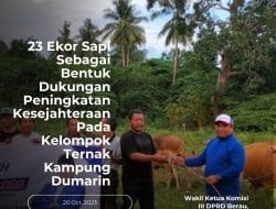 23 Ekor Sapi Sebagai Bentuk Dukungan Peningkatan Kesejahteraan Pada Kelompok Ternak Kampung Dumaring