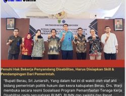 Penuhi Hak Bekerja Penyandang Disabilitas, Harus Disiapkan Skill & Pendampingan Dari Pemerintah.