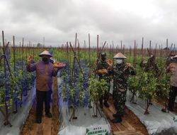 Pemkab Kukar Gelontorkan Bantuan untuk Petani Daerah