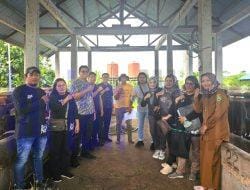 Pemeriksaan Kesehatan Hewan Kurban di Kutai Timur Menjelang Idul Adha