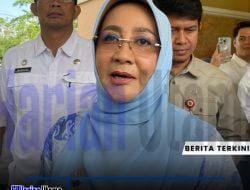 Ubur-Ubur Sembunyi, Pulau Kakaban Ditutup Sementara untuk Pemulihan Ekosistem