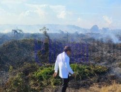 Bupati Ardiansyah Imbau Warga Waspada Kebakaran Lahan di Musim Kemarau