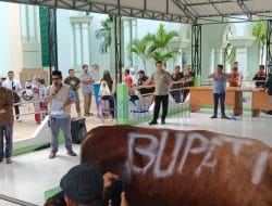 Bupati Ardiansyah Sembelih Sapi Kurban di Masjid Agung Al-Faruq