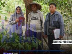 PT Berau Coal Dukung Pengembangan Kakao Berkelanjutan di Berau