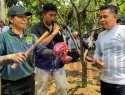Kunjungi Kakao Farm Bali, Joni: untuk Tingkatkan Kualitas Budidaya Kakao di Kutim