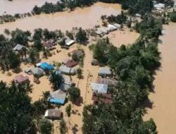 Rifai,Kewenangan Hutan Ada Di Provinsi